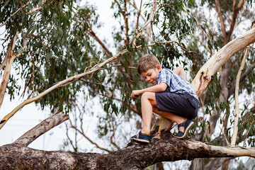 Happy kid climbing on fallen gum tree branch