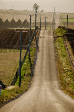 Undulating Road in Rural Tasmania