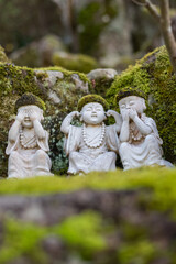 Obraz premium Jizo Buddhist statues at Daisho-in Temple, Miyajima, Japan - Daishoin Temple is known as the temple with over 500 statues in many different shapes and sizes. Hidden wonder on Miyajima's Mount Misen.