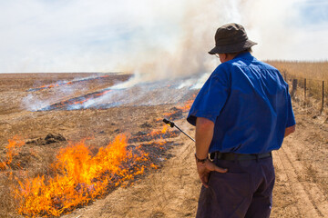Farmer carrying a fire lighter burning canola stubble
