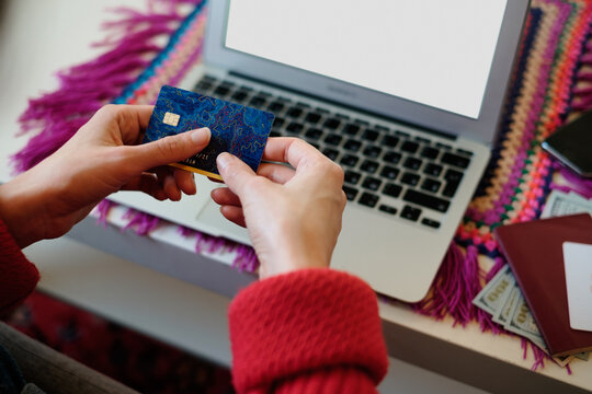 Young woman making online shopping with her laptop sitting on the sofa in the living room