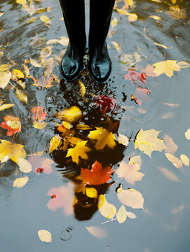 Staying in a fallen leaves