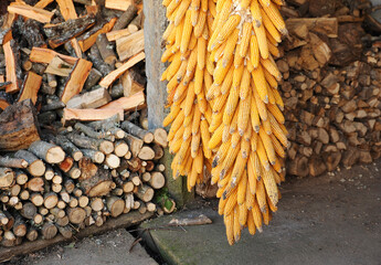 
Corn cobs to feed livestock and pine firewood stored for the winter in a house in Laza, village at the province of Ourense, Galicia, Spain
