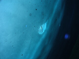 Fototapeta premium Eistauchen