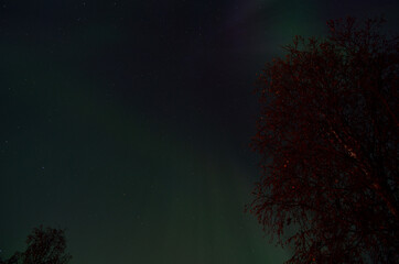 Fototapeta na wymiar vibrant aurora borealis on autumn night sky
