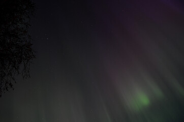 Fototapeta na wymiar vibrant aurora borealis on autumn night sky