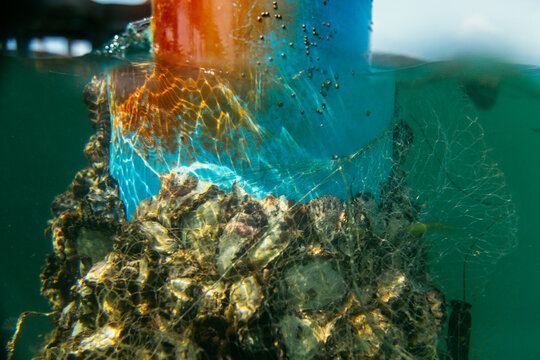 Colorful underwater post