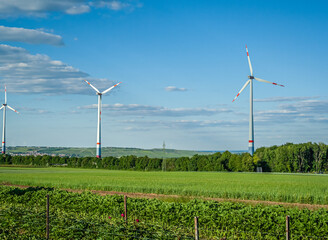 Windräder auf einem grünen Feld in der Landschaft 