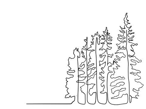 Pine tree continuous line drawing art. simple forest, one line drawing of nature tree vector illustration, line drawing of forest with trees. minimal line doodle.