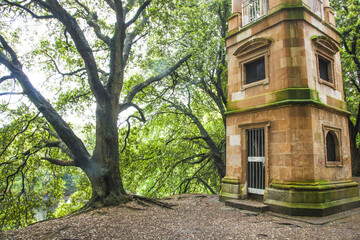 irish landscape, irish park