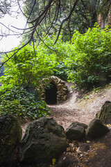 irish landscape, irish park