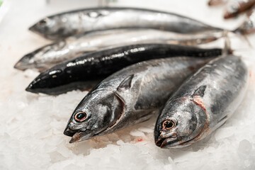 Fresh Fish And Seafood On Ice In Fish Market