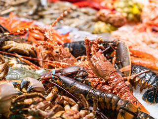 Fresh Fish And Seafood On Ice In Fish Market