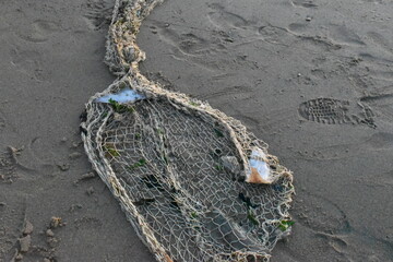 Fishnet with fresh caught fish on the beach 