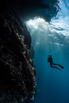 Scuba Girl Swimming into Sunlight