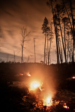 Forest fire at night - long exposure