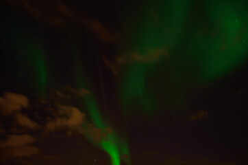 Beautiful green aurora borealis, northern light in autumn night