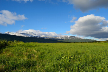 Obraz premium green pasture, snowy mountain and blue sky