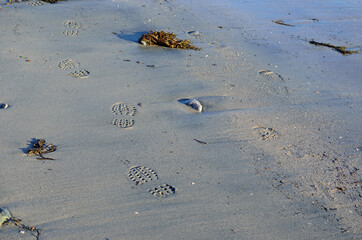 footprints on sandy wet sea shore
