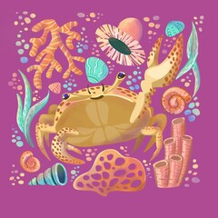 Crab doodle collage for cards, invitation, notebook design, banner, web, wrapping paper, package, clothes. Cute marine life for children. Actinium, coral, shell, bubbles, seaweed