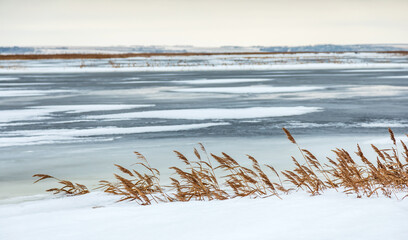 Snow fell on the dry yellow grass by the river.