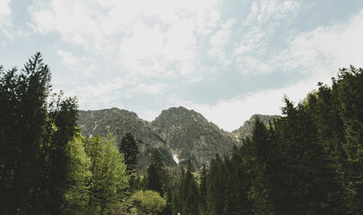 Panoramic view on mouintain peak from forest