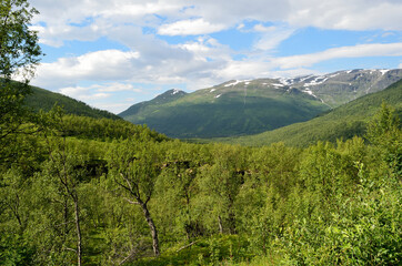deep panoramic arctic summer mountain and wilderness landscape