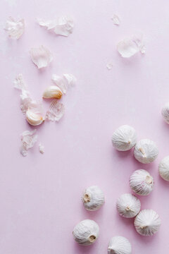 Garlci Still Life on Pink