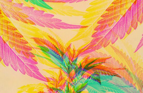 Psychedelic Cannabis Background