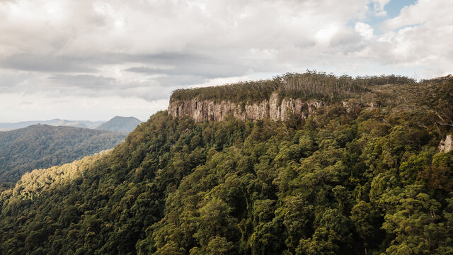 Landscape of Springbrook National Park, Queensland, Australia.