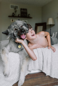 Boy and dog