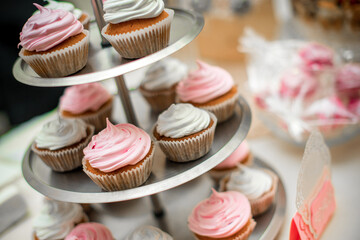 Beautiful and decorated candy bar close-up at a festive Banquet. Sweets close-up