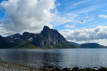 majestic mountain in ocean in summer
