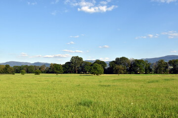 Dreisamtal bei Freiburg im Sommer