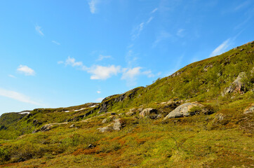 mountain landscape in summer