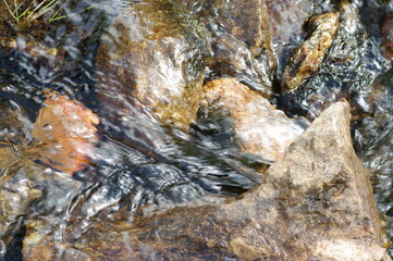 Crystal splashes of water, playful foam in the streams of the river. Stones under the streams of a swift, mountain river...