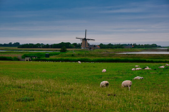 Dutch Impression #2020-06