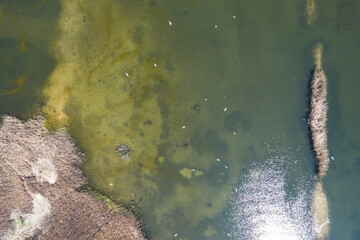 Beautiful lake with sand islands like atol. Lake pogoria in Dabrowa Gornicza Poland aerial drone view