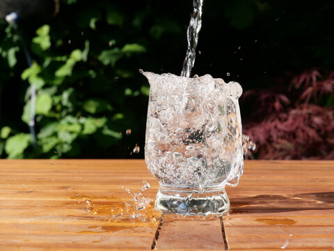Garden Drink