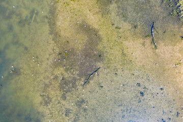 Beautiful lake with sand islands like atol. Lake pogoria in Dabrowa Gornicza Poland aerial drone view