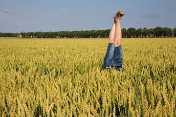 Fototapeta na wymiar Upside down from the wheat fields - bare feet out of the ears of wheat
