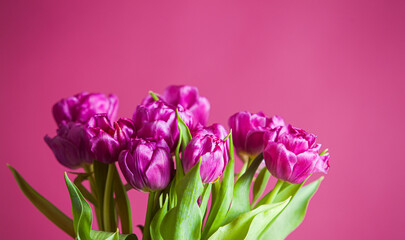 Elegant bouquet of delicate tulips for your beloved woman