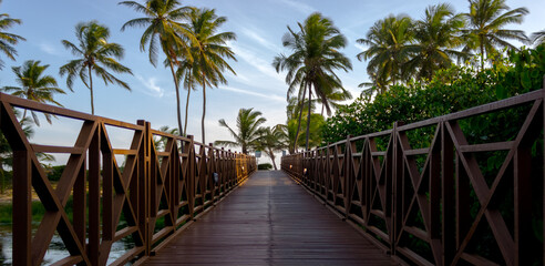 landscape path to the beach Costa do Sauipe