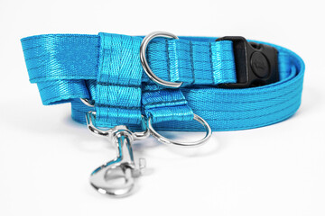 close up сolorful blue dog collar and leash with silver metal fittings from silky tape. Pet...