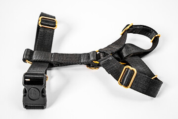 Black tissue dog harness with gold metal fittings isolated on white background. For a safe trip and...