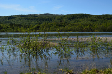 flooded river and mountain landscape