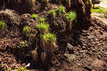 Pile heap of soil humus at the backyard.
