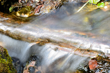 clean fresh water stream