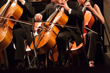 Musicians playing cellos
