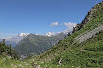 Fototapeta na wymiar Swiss Alps